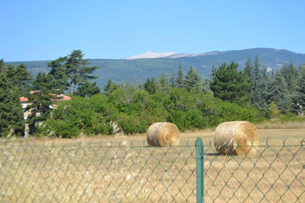 Les Fadas Du Ventoux Sault Extérieur photo